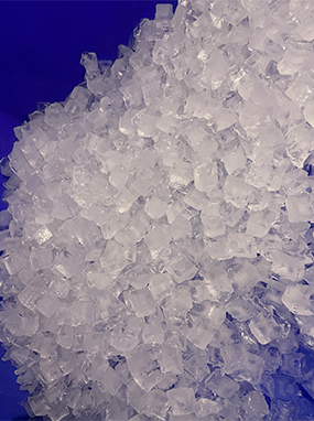 wooden greenery wooden greenery