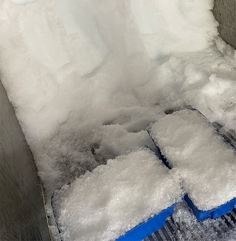 gg ice flake