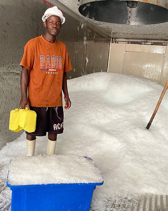 gg ice plant about us 2