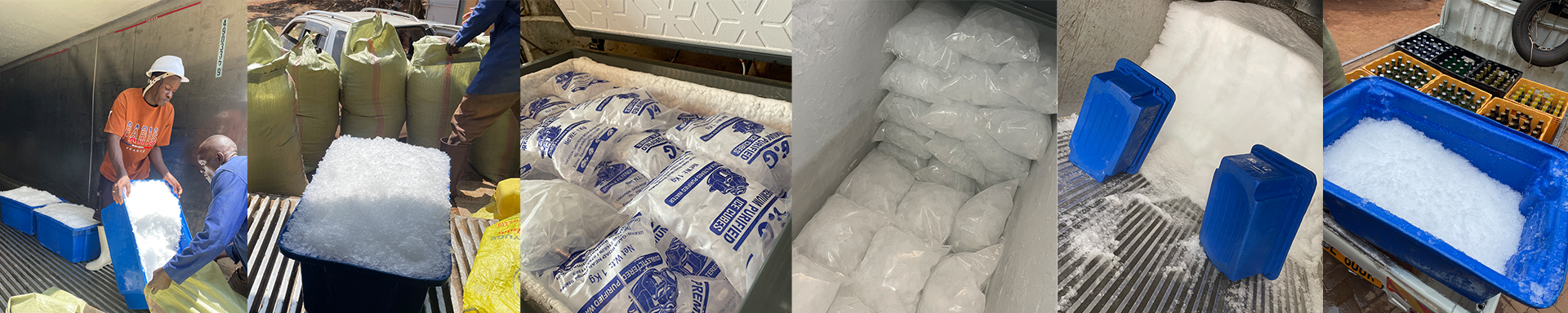 gg ice plant products